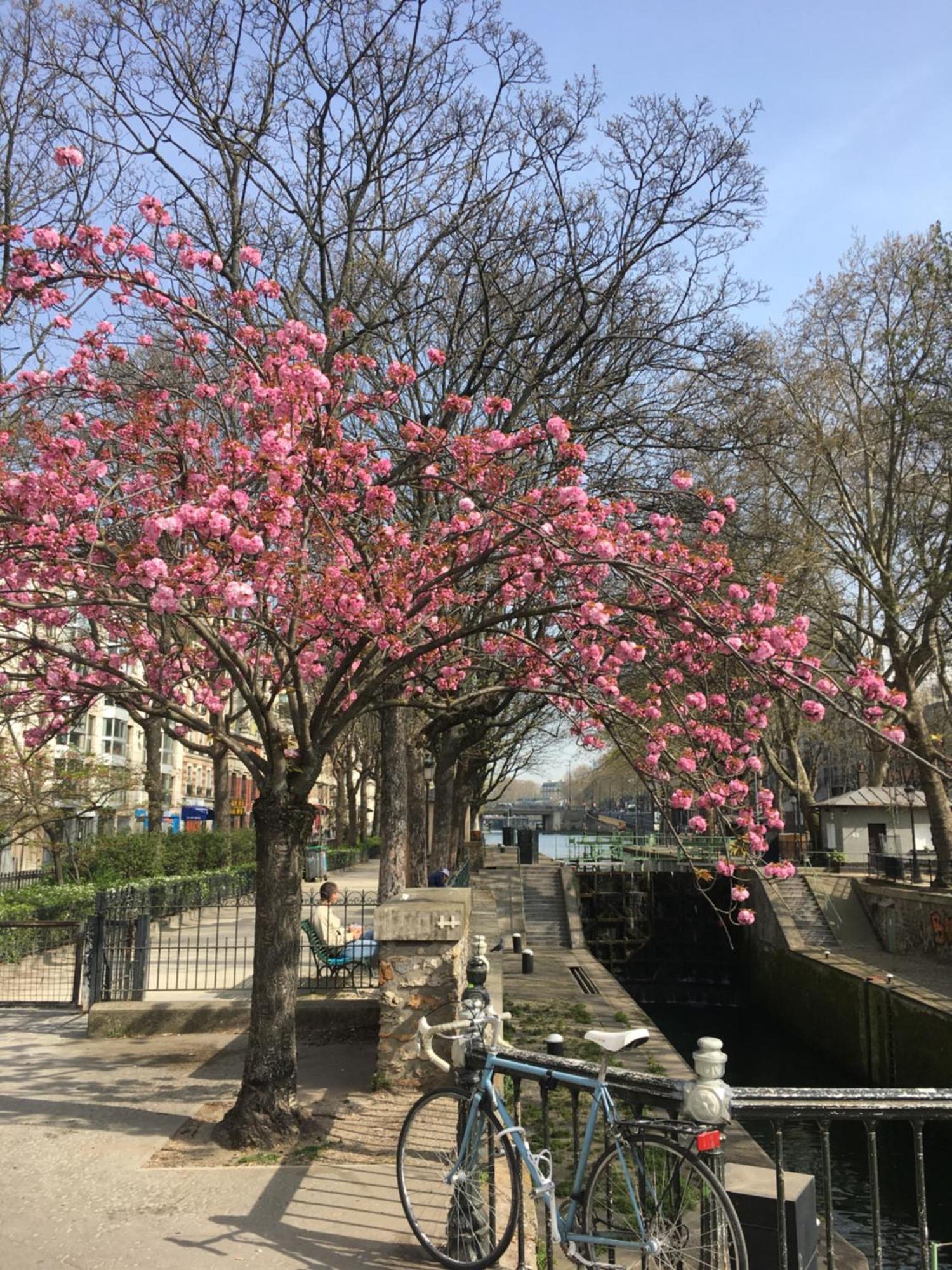 Paris, Au Bord Du Canal Saint Martin Buitenkant foto